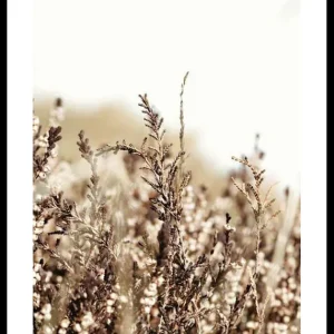 Begrenztes Angebot Growing Fields Poster
