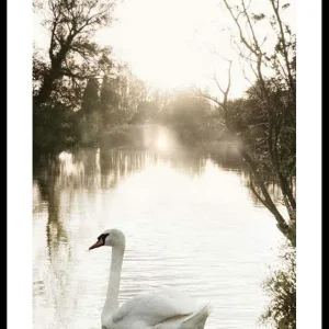 Geprüft White Swan Poster