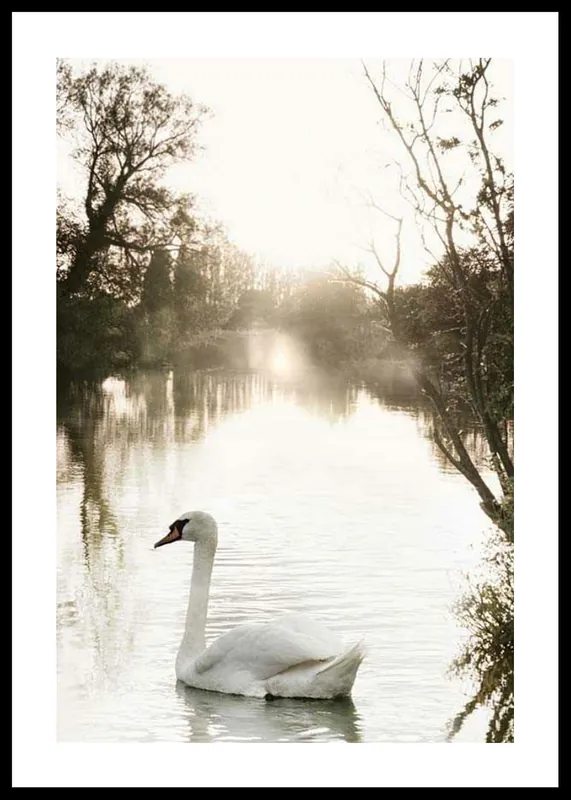 Geprüft White Swan Poster