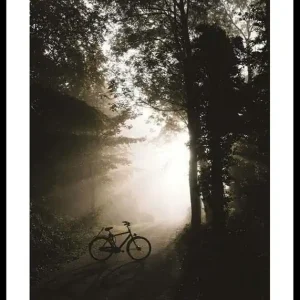 Garantierte Lieferung Bike In Forest Poster
