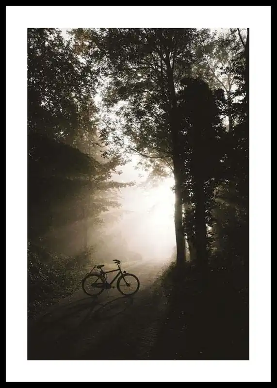 Garantierte Lieferung Bike In Forest Poster