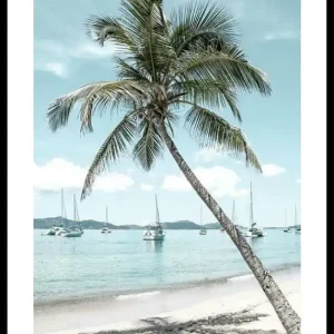 Leaning Palm No2 Poster Geprüft