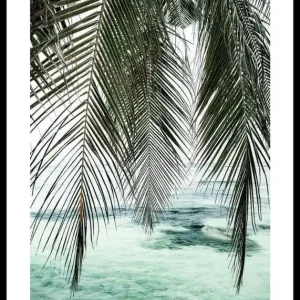 Ausverkauf Palm Curtain Poster