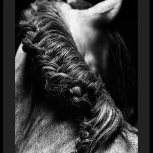 Horse Mane Poster Rabatt