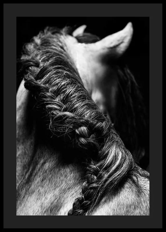 Horse Mane Poster Rabatt
