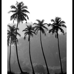 Palms Poster Direktkauf