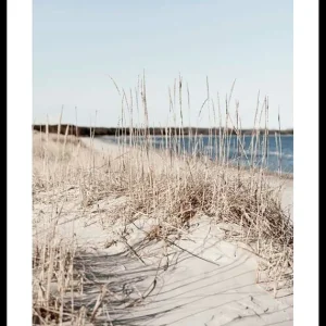 West Coast Poster Saisonangebot
