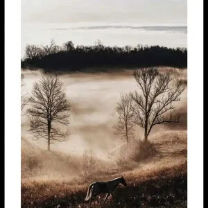 Horse In Sunset Poster Wochenendangebot