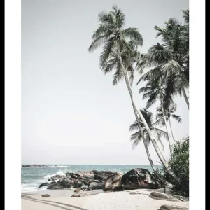Kostenfreie Lieferung Anantara Palm Trees Poster