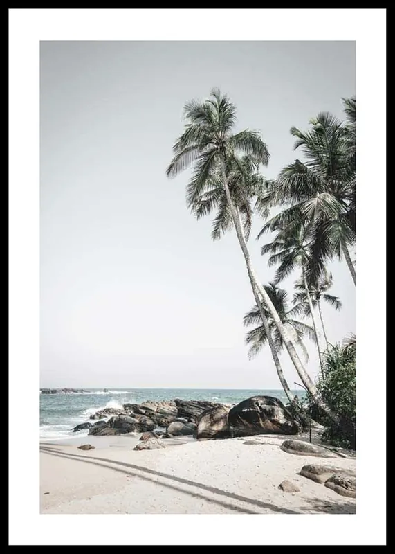 Kostenfreie Lieferung Anantara Palm Trees Poster