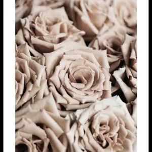 Letzte Chance Roses Poster