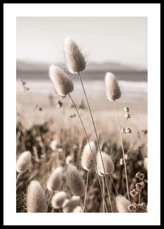 Soft Grass Poster Knallerangebot