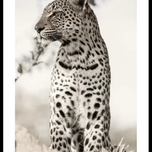 Direkt Vom Hersteller African Leopard Poster