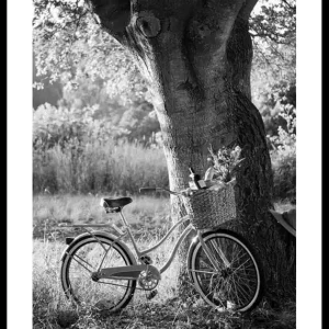 Bicycle With Picknick Basket Poster Zertifiziert