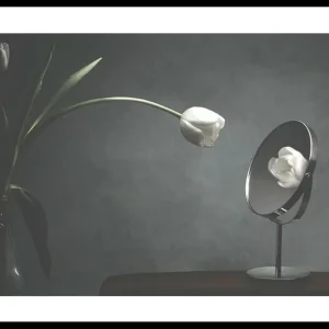 Vanity Tulip Poster Gratis Versand