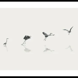 Gratis Versand Bird Taking Off Poster