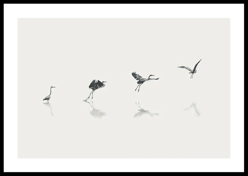 Gratis Versand Bird Taking Off Poster