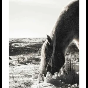 Neuheit Winter Horse Poster