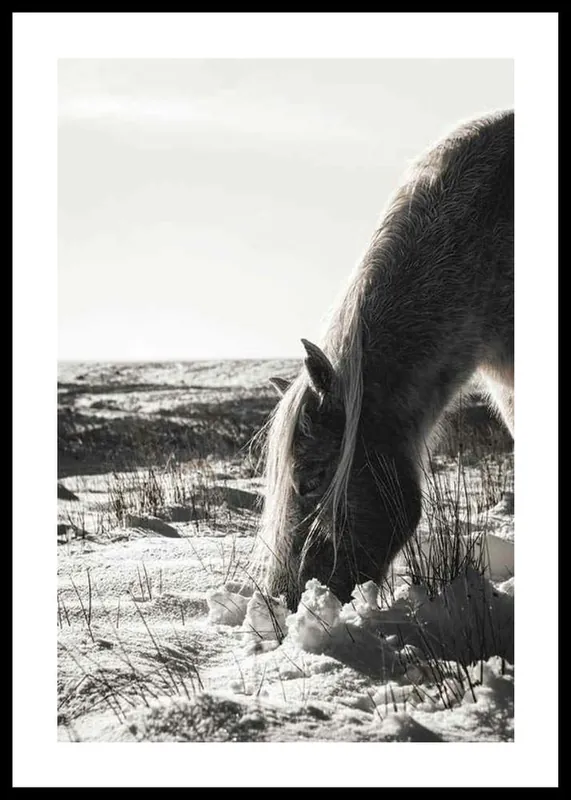 Neuheit Winter Horse Poster