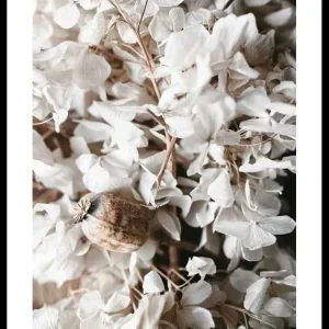 White Hydrangeas Poster Neuheit