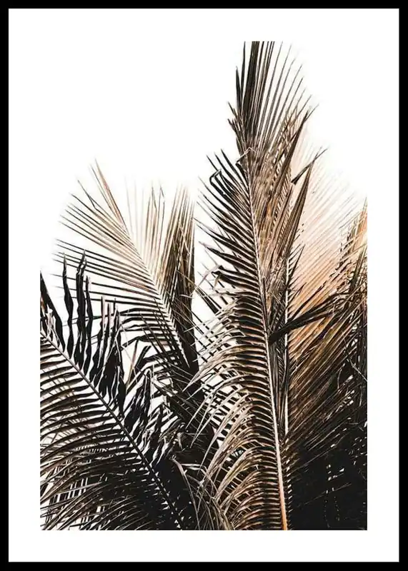 Sichere Zahlung Palm Leaves Poster