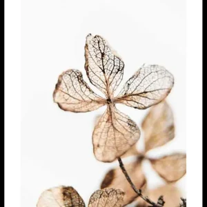 Garantierte Lieferung Four Leaves Plant Poster