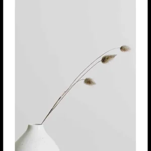 Dried Flower White Vase Poster Gratis Versand