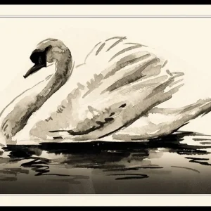 The Swan Poster Solange Der Vorrat Reicht