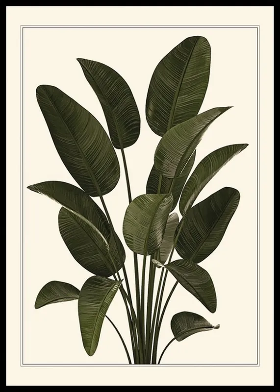 Strelitzia Poster Super-Preis