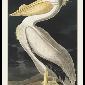 Preis Gesenkt Pelican 1827 Poster