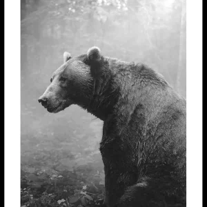 Grizzly Bear Poster Versand Am Gleichen Tag