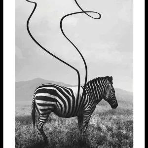 Abstract Zebra Poster Preis Gesenkt