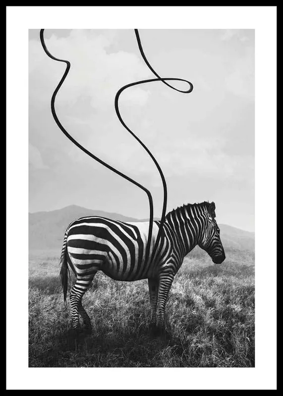 Abstract Zebra Poster Preis Gesenkt
