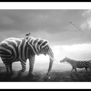 Sonderangebot Zebraphant Poster