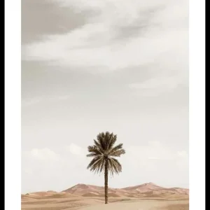 Palm Tree In Desert Poster Highlight