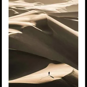 Direktkauf Walking In Desert Poster