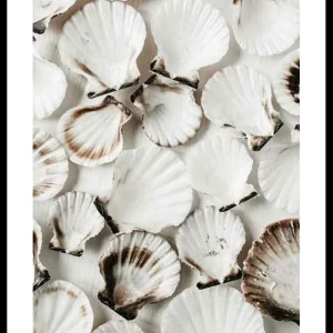 Sea Shells Poster Schnäppchen