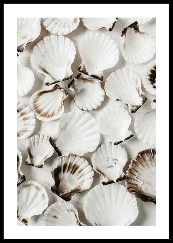 Sea Shells Poster Schnäppchen