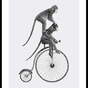 Ausverkauf Monkeys On A Bike Poster