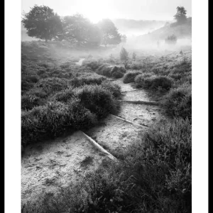 Kracherpreis Foggy Road Poster