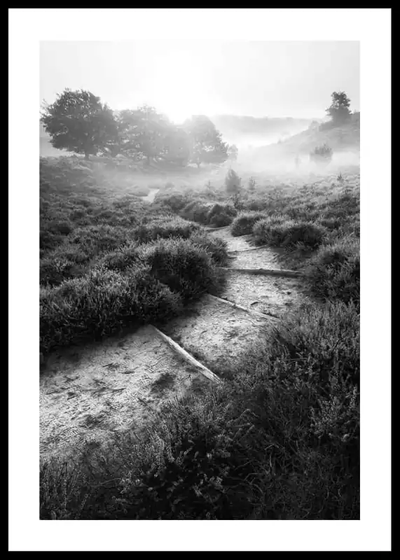 Kracherpreis Foggy Road Poster