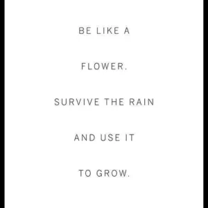 Like A Flower Poster Markenprodukt