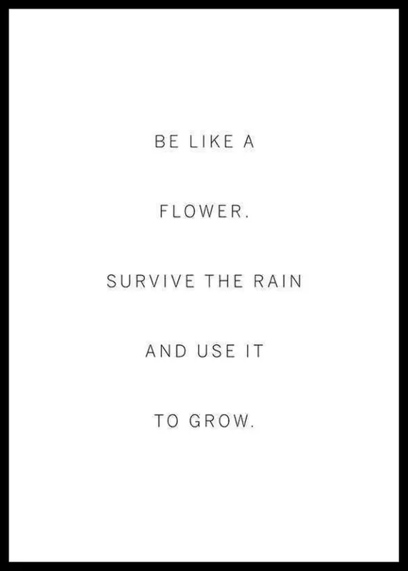 Like A Flower Poster Markenprodukt
