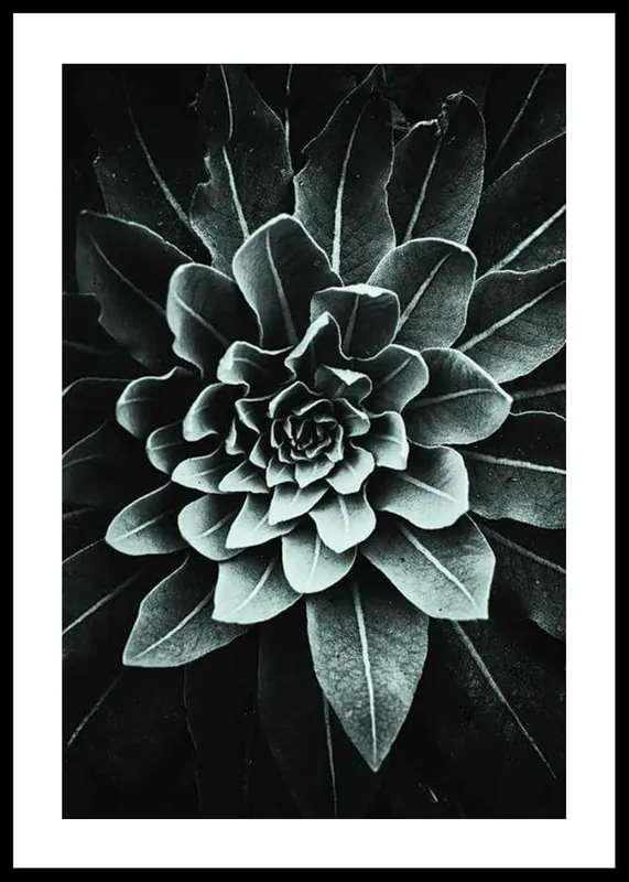 Sichere Zahlung Leaf Rosette Poster