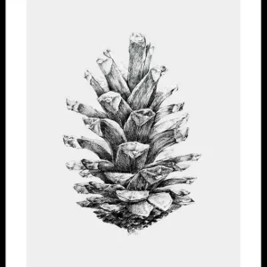 Sketched Spruce Cone Poster Echt
