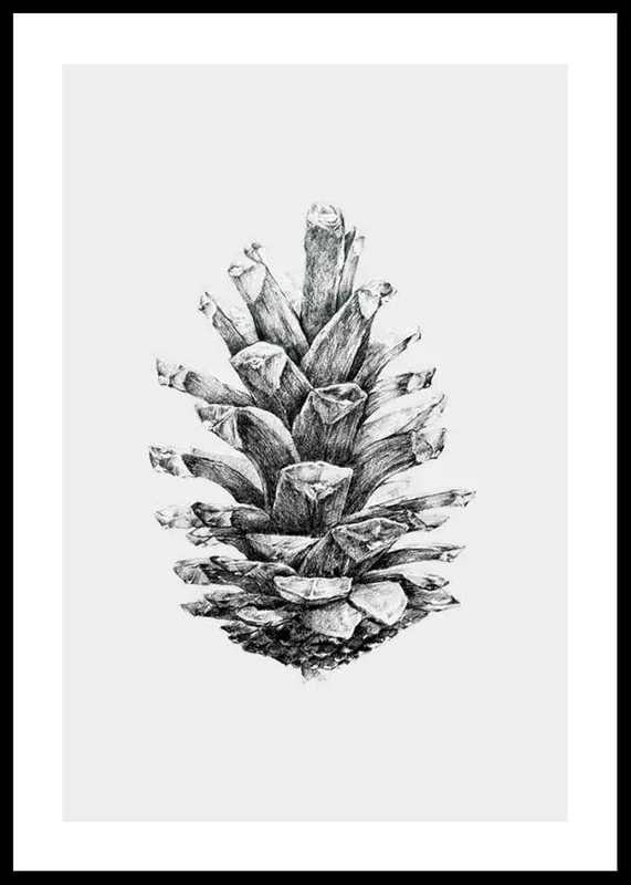 Sketched Spruce Cone Poster Echt