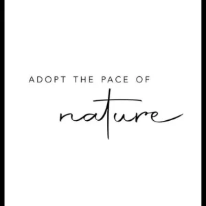 Echt Pace Of Nature Poster