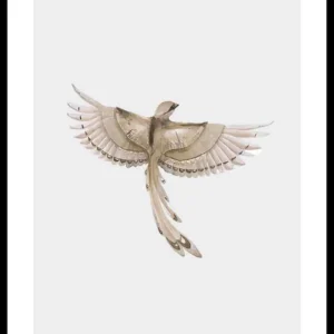 Sale Watercolor Jay Bird Poster