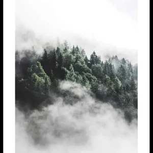 Gratis Versand Forest In Mist Poster