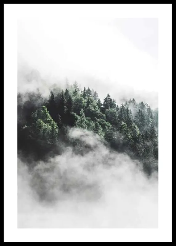 Gratis Versand Forest In Mist Poster